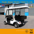 Zhongyi 2 Seats Cargo Electric Golf Cart for Resort